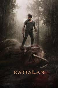 Kattalan - Posters
