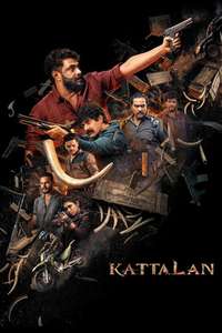 Kattalan - Posters