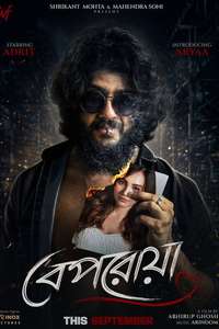 Beporoya - Posters