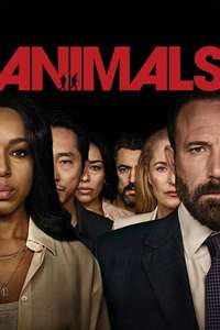 Animals - Posters