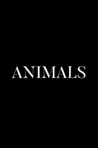 Animals - Posters