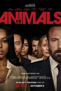 Animals - Posters