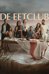 The Perfect Lie - Posters