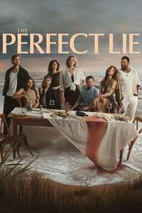 The Perfect Lie - Posters