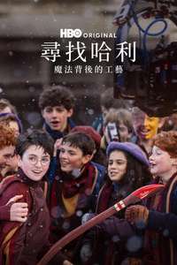 Finding Harry: The Craft Behind the Magic - Posters