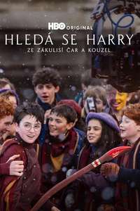 Finding Harry: The Craft Behind the Magic - Posters