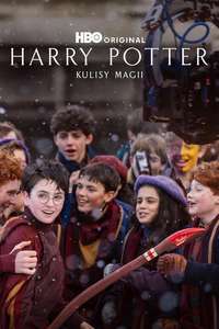 Finding Harry: The Craft Behind the Magic - Posters