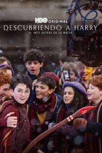 Finding Harry: The Craft Behind the Magic - Posters