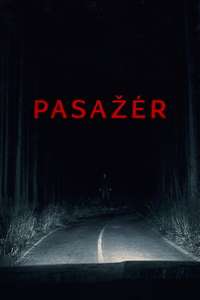 Passenger - Posters