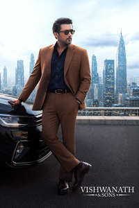 Vishwanath & Sons - Posters