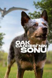 The End of Oak Street - Posters