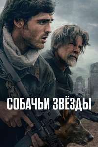 The Dog Stars - Posters