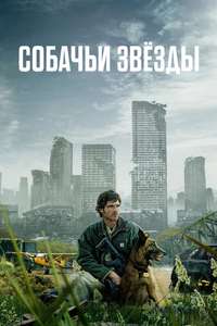 The Dog Stars - Posters