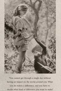 Famous Last Words: Dr. Jane Goodall - Posters