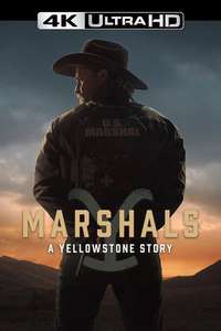 Y: Marshals - Posters