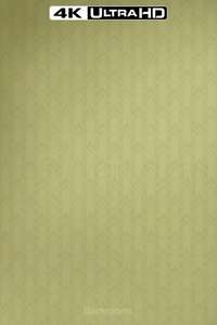Backrooms - Posters