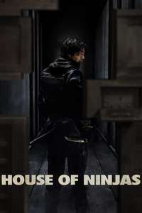 House of Ninjas - Posters