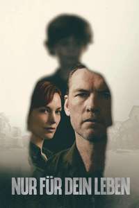 I Will Find You - Posters