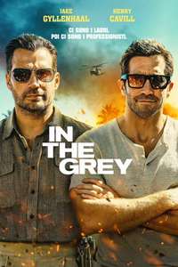 In the Grey - Posters