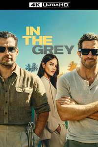In the Grey - Posters
