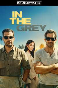 In the Grey - Posters