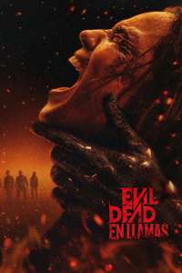 Evil Dead Burn - Posters