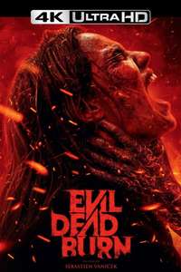 Evil Dead Burn - Posters