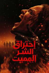 Evil Dead Burn - Posters
