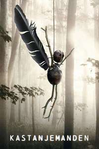 The Chestnut Man - Posters