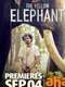 The Yellow Elephant