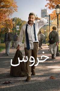 Rooster - Posters