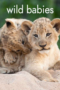 Wild Babies - Posters