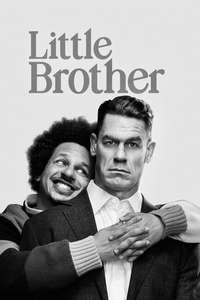 Little Brother - Posters