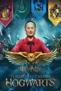 Harry Potter: Hogwarts Tournament of Houses - Posters