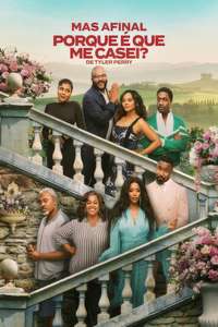 Why Did I Get Married Again? - Posters