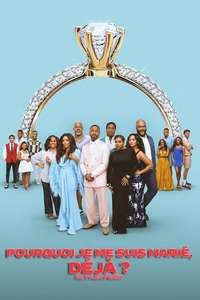 Why Did I Get Married Again? - Posters
