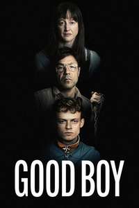 Good Boy - Posters