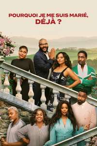 Why Did I Get Married Again? - Posters