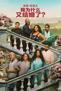 Why Did I Get Married Again? - Posters