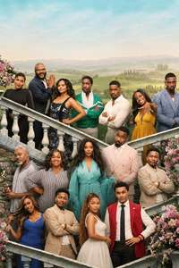 Why Did I Get Married Again? - Posters