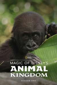 Magic of the Animal Kingdom - Posters
