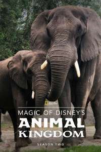 Magic of the Animal Kingdom - Posters