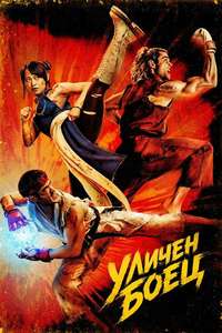 Street Fighter - Posters