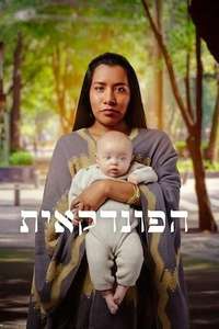 The Surrogacy - Posters