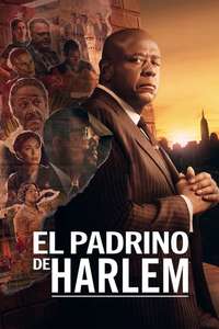 Godfather of Harlem - Posters