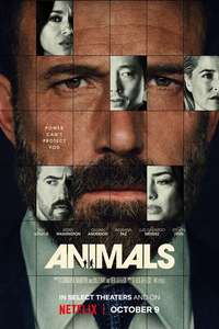Animals - Posters
