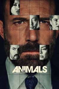 Animals - Posters