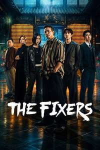 The Fixers - Posters