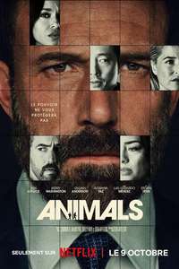 Animals - Posters