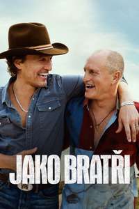 Brothers - Posters